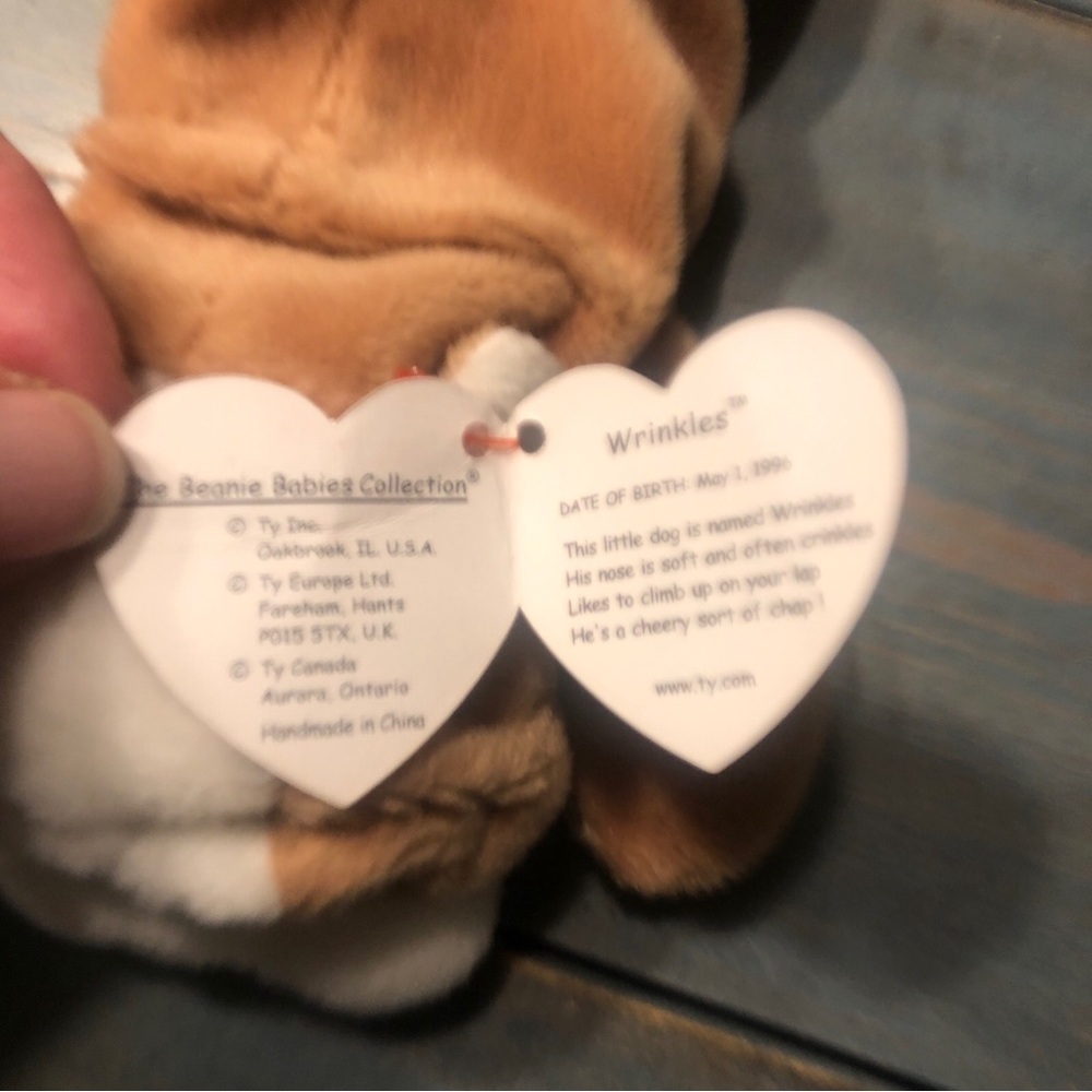 ty Wrinkles Beanie Babies - Brown and White Plush Dog Toy with Floppy Ears - Picture 6 of 10